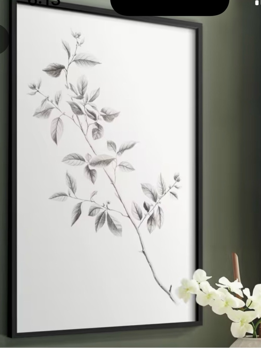 Framed Botanical Wall Art - Black Leaf Illustration NEW in original box.